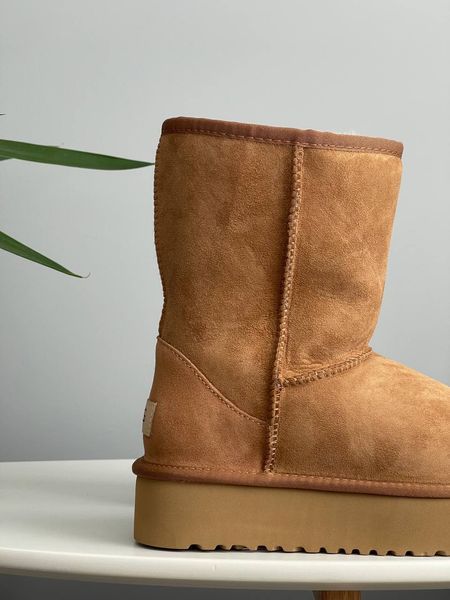 UGG Australia Classic Short II Platform Chestnut Руді Рижі короткі середні уггі замш цільна овчина Угг Австралія - Розмір 35 (US 4) 2110100467 фото