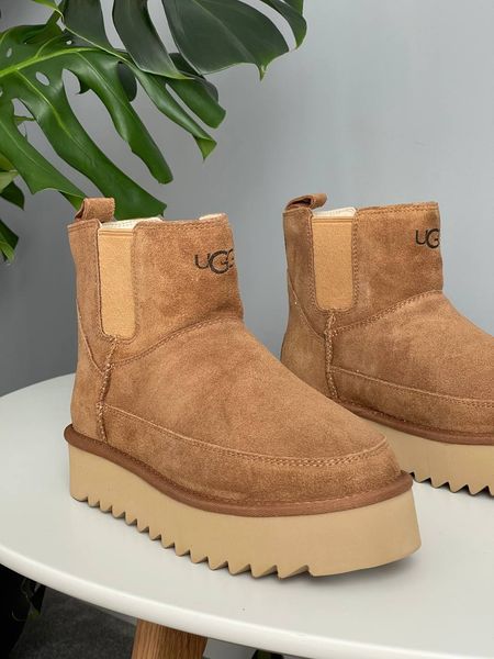 UGG Australia Classic Chelsea Platform Tractor Chestnut угг з хутром міні руді на платформі замш цільна овчина Угг Австралія - Розмір 35 (US 4) 2110100818 фото