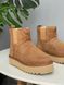 UGG Australia Classic Chelsea Platform Tractor Chestnut угг з хутром міні руді на платформі замш цільна овчина Угг Австралія - Розмір 35 (US 4) 2110100818 фото 3