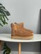 UGG Australia Classic Chelsea Platform Tractor Chestnut угг з хутром міні руді на платформі замш цільна овчина Угг Австралія - Розмір 35 (US 4) 2110100818 фото 2