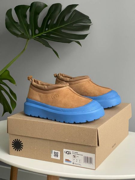 UGG Australia США Tasman Weather Hybrid Slipper Chestnut/Blue Уггі тасман з силіконом руді з синім замшеві Австралія - Розмір 35 (US 4) 1016222333 фото