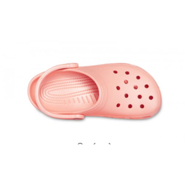 Crocs Оригінал Classic Watermelon Кавун Крокс США (1670855291) - 36 (Стопа 22.5-23.2см) M4/W6 112875 фото