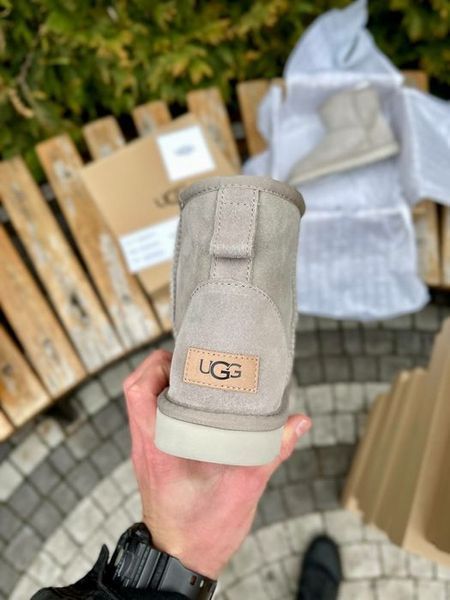 UGG Australia США Classic Mini Light Grey Suede II світло сірі натуральні зимові міні Угг Австралія - Розмір 35 (US 4) 2111379 фото