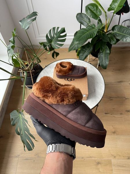 UGG Australia США Slipper Tazzlita Hardwood Уггі з хутром на платформі шоколадні замшеві Австралія - Розмір 35 (US 4) 2110100945 фото