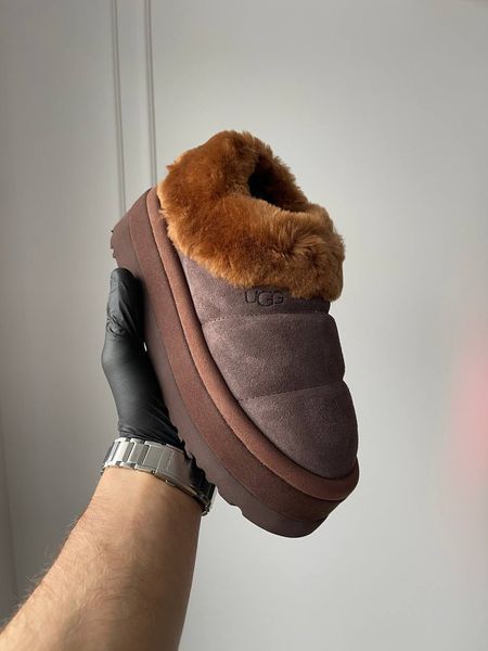 UGG Australia США Slipper Tazzlita Hardwood Уггі з хутром на платформі шоколадні замшеві Австралія - Розмір 35 (US 4) 2110100945 фото