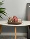 UGG Australia США Slipper Lowmel Sneaker Rocky Oak Уггі кросівки з хутром рожеві замшеві Австралія - Розмір 35 (US 4) 1016222804 фото 10